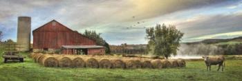 Hay Harvest | Obraz na stenu