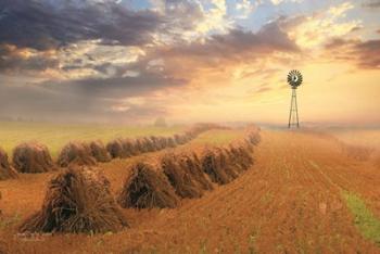 Amish Country Sunrise | Obraz na stenu