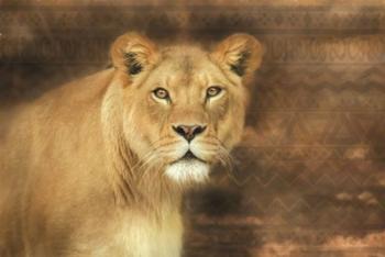 Tribal Lioness | Obraz na stenu
