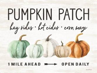Pumpkin Patch | Obraz na stenu