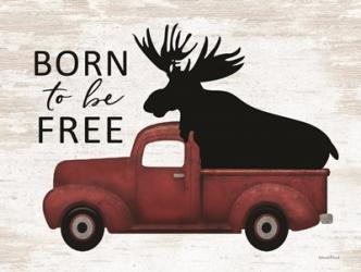 Born to be Free Moose | Obraz na stenu
