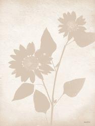 Floral Silhouette III | Obraz na stenu