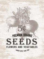 Seeds | Obraz na stenu