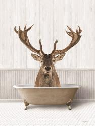 Bath Time Deer | Obraz na stenu