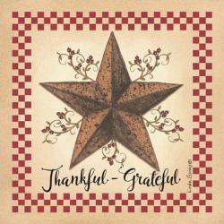Thankful Grateful Barnstar | Obraz na stenu