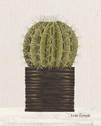 Potted Cactus | Obraz na stenu