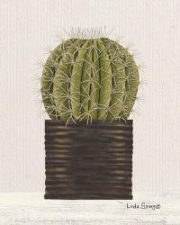 Potted Cactus | Obraz na stenu