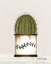 Round Cactus | Obraz na stenu
