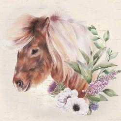 Paisley the Pony | Obraz na stenu