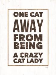 Crazy Cat Lady | Obraz na stenu