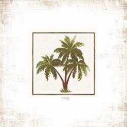 Palm Trees | Obraz na stenu