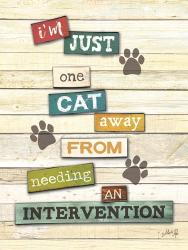 Cat Intervention | Obraz na stenu