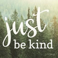 Just Be Kind | Obraz na stenu