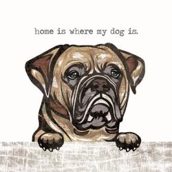 Home is Where My Dog Is | Obraz na stenu