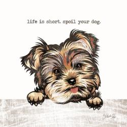 Spoil Your Dog | Obraz na stenu