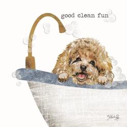 Good Clean Fun | Obraz na stenu