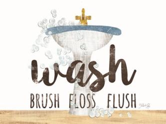 Wash - Brush - Floss - Flush | Obraz na stenu
