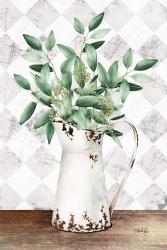Eucalyptus White Tin Pitcher | Obraz na stenu