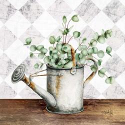 Eucalyptus White Watering Can | Obraz na stenu