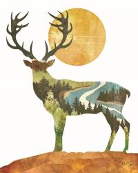 Forest Deer | Obraz na stenu