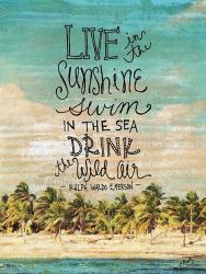 Live in the Sunshine | Obraz na stenu