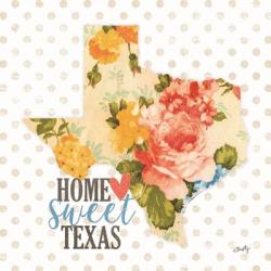 Home Sweet Texas Floral | Obraz na stenu