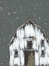 Winter Night Barn | Obraz na stenu