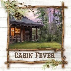 Cabin Fever | Obraz na stenu
