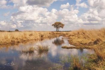 Dutch Skies | Obraz na stenu