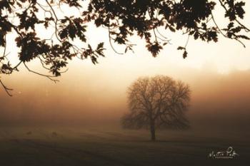 Under the Leaves | Obraz na stenu