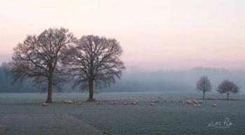 Sheep on a Cold Morning | Obraz na stenu