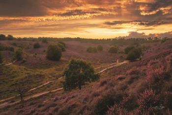 Just a Sunset in the Netherlands | Obraz na stenu