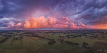 The Pink Cloud | Obraz na stenu