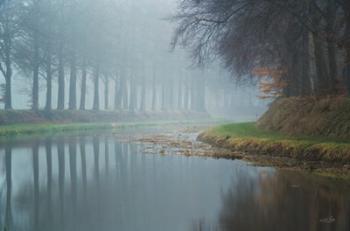 Foggy Reflections | Obraz na stenu