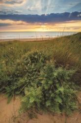 Dutch Dunes | Obraz na stenu