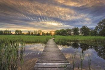 Boardwalk | Obraz na stenu