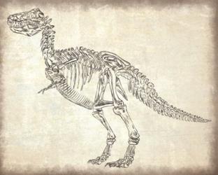 T-Rex Skeleton | Obraz na stenu
