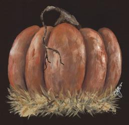 Pumpkin Study | Obraz na stenu