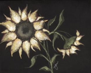 Sunflower on Black | Obraz na stenu