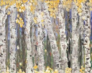 Yellow Leaf Birch Trees | Obraz na stenu