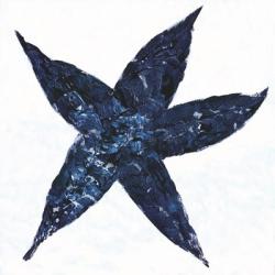 Midnight Starfish | Obraz na stenu