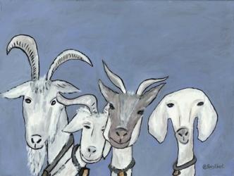 Goats | Obraz na stenu
