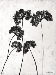 Queen Anne's Lace I | Obraz na stenu