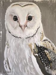 Barn Owl | Obraz na stenu