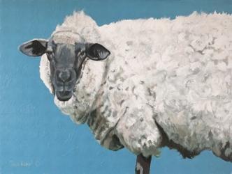 Wooly Sheep | Obraz na stenu