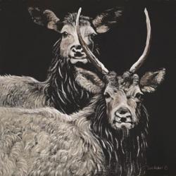 Two Woodland Deer | Obraz na stenu
