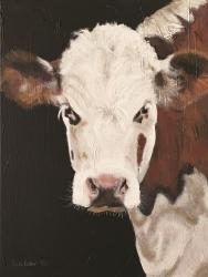 Portrait of a Hereford | Obraz na stenu