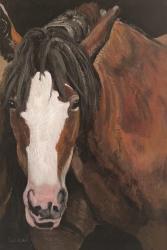 Horse Portrait I | Obraz na stenu