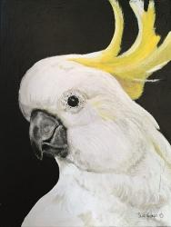 White Cockatoo | Obraz na stenu