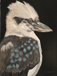 Kookaburra | Obraz na stenu